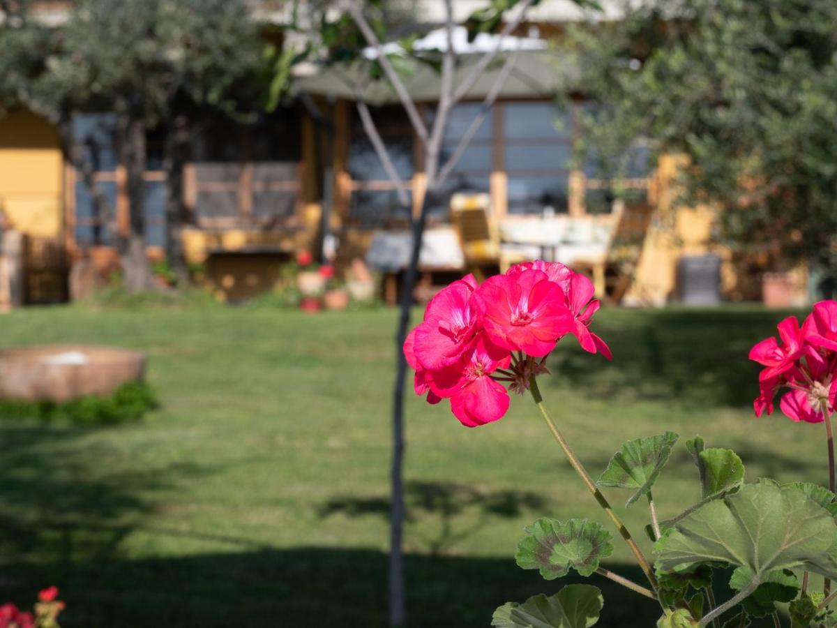 B&B Casa Decimo Greve in Chianti Exteriör bild